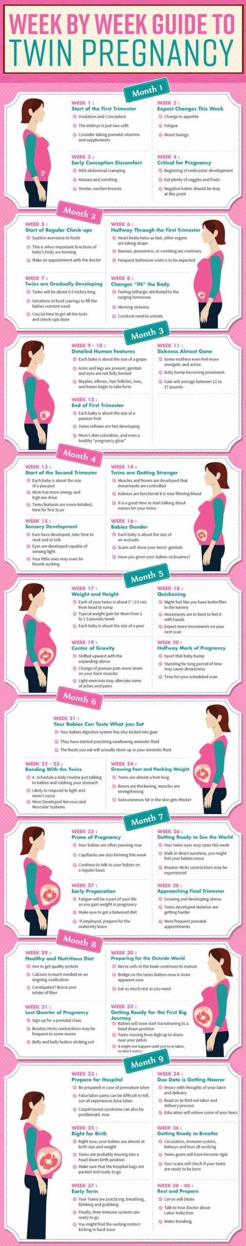 twin pregnancy week by week